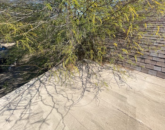 Branches cause damage to your roof